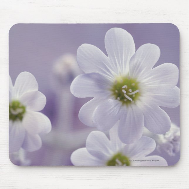 Tapis De Souris Plan rapproché des fleurs 2 (Devant)