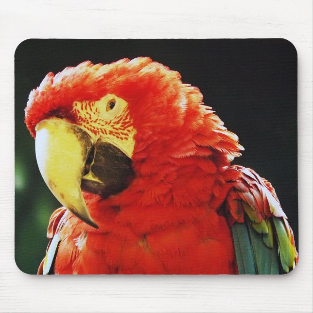 Tapis De Souris Plan rapproché d'oiseau de perroquet d'ara à ailes (Devant)