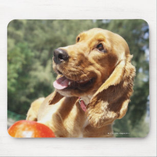 Tapis De Souris Plan rapproché d'une pomme devant un chien