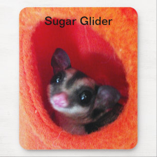 Tapis De Souris Planeur à sucre en Orange Hanging Lit