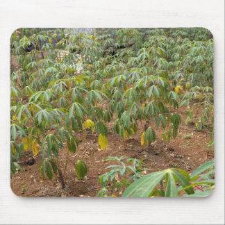 Tapis De Souris Plantation de Cassava