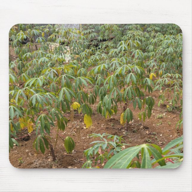 Tapis De Souris Plantation de Cassava (Devant)