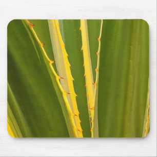 Tapis De Souris Plante Agave Abstrait