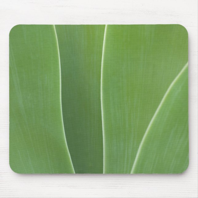 Tapis De Souris Plante d'Agave de près (Devant)