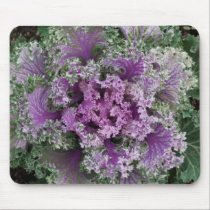 Tapis De Souris Plante de chou frisé ornemental