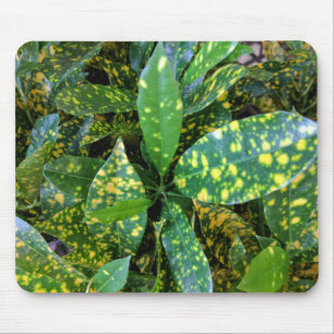 Tapis De Souris Plante de Croton