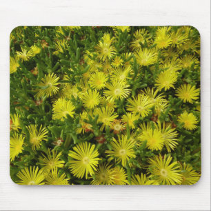 Tapis De Souris Plante de glace dorée Fleurs jaunes