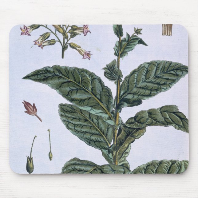 Tapis De Souris Plante de tabac, plat 7, de 'collection Precieuse (Devant)