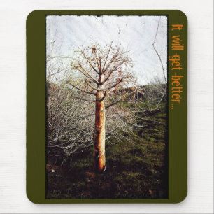 Tapis De Souris Plante Ferula sec