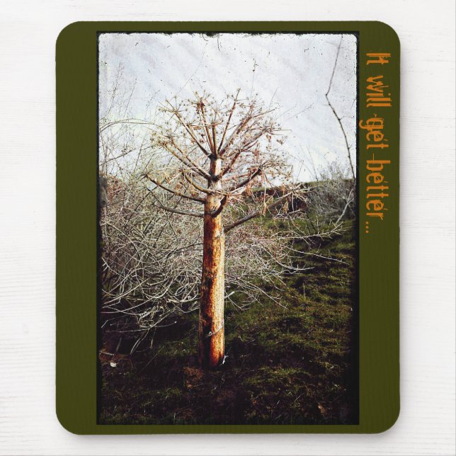 Tapis De Souris Plante Ferula sec (Devant)