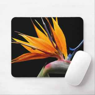 Tapis De Souris Plante Orange de l'Oiseau de Paradis sur Fond Noir