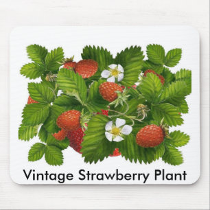 Tapis De Souris Plante vintage aux fraises