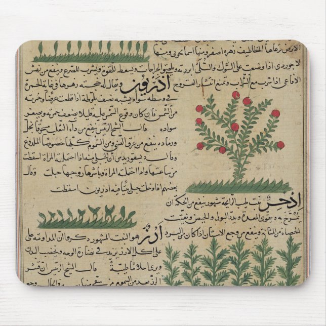 Tapis De Souris Plantes botaniques, illustration de ' (Devant)