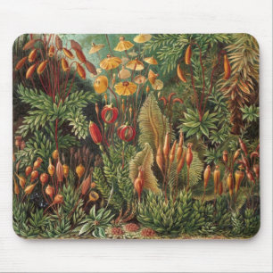 Tapis De Souris Plantes de mousse vintage par Ernst Haeckel, Musci