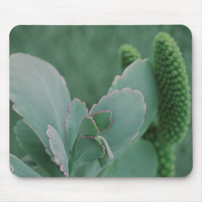Tapis De Souris Plantes du désert (Devant)