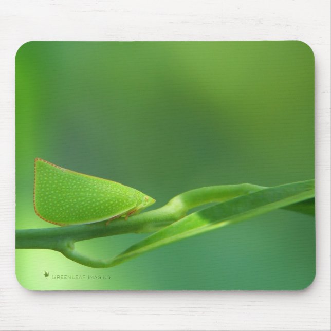 Tapis De Souris PlantWalker (Devant)