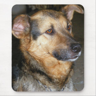 Tapis De Souris Plaque de chien