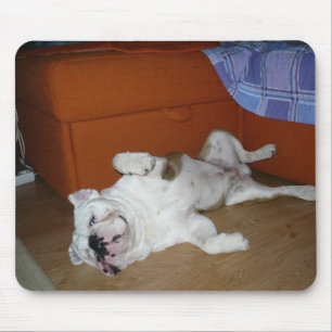 Tapis De Souris Plaque de chien