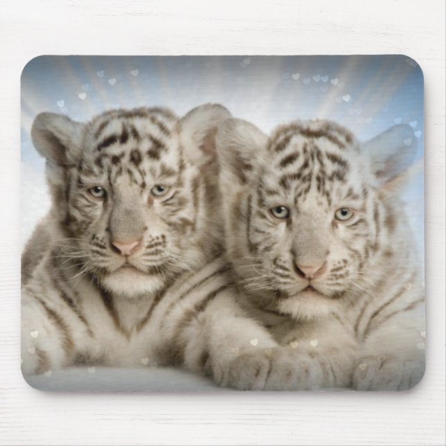 Tapis De Souris Plaque de souris blanche Tiger Cubs (Devant)