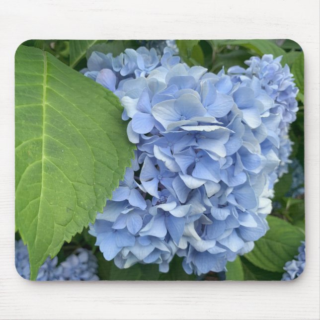 Tapis De Souris Plaque de souris Blue Hydrangea (Hydrangea macroph (Devant)