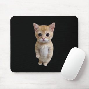 Tapis De Souris Plaque de souris de chat El Gato