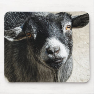 Tapis De Souris Plaque de souris de chèvre