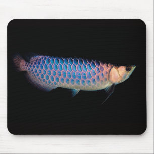 Tapis De Souris Plaque de souris de l'arowana asiatique "Type bleu
