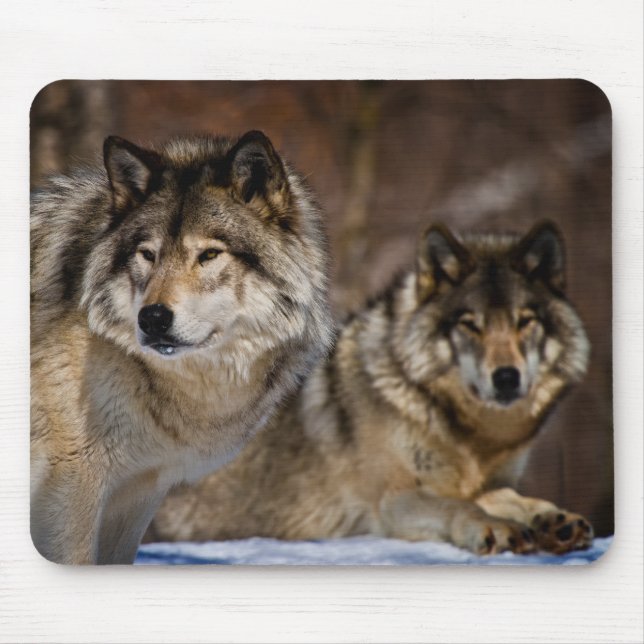 Tapis De Souris Plaque de souris de loup de bois (Devant)
