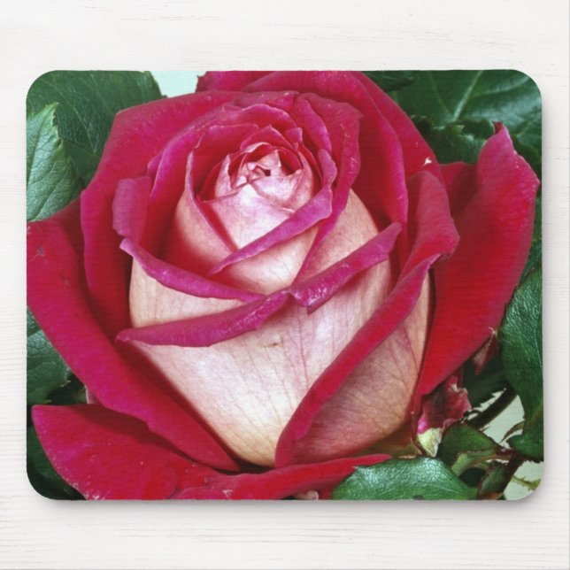 Tapis De Souris Plaque de souris Fleurs (Devant)
