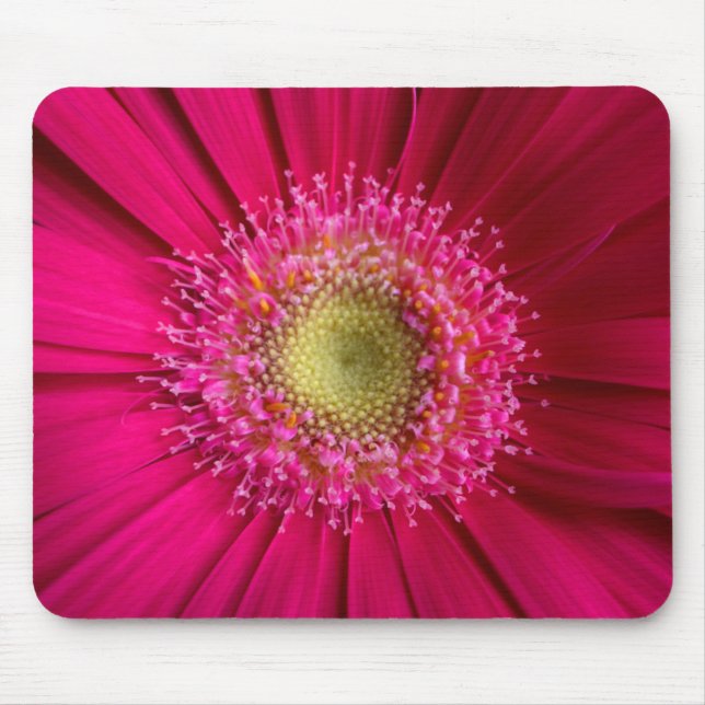 Tapis De Souris Plaque de souris Gerbera Daisy (Devant)