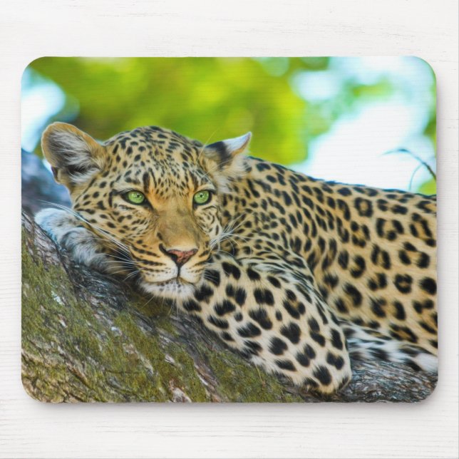Tapis De Souris Plaque de souris léopard de Tanzanie (Devant)