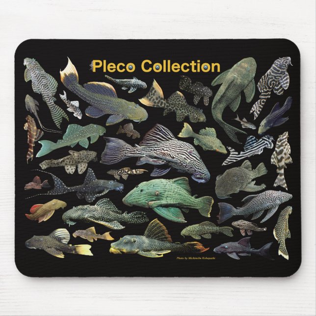Tapis De Souris Pleco collection (Devant)