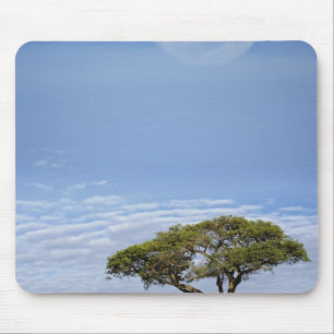 Tapis De Souris Pleine lune au-dessus des acacias, Masai Mara,