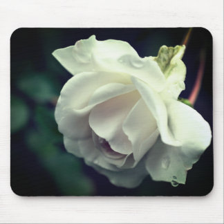Tapis De Souris Pluie de fleurs de rose blanche