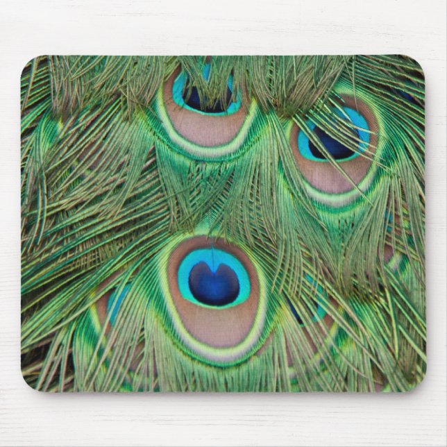 Tapis De Souris Plumage de paon (Devant)