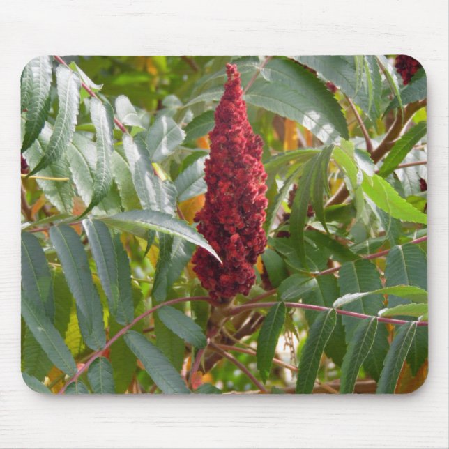Tapis De Souris Plume de fleurs (Devant)