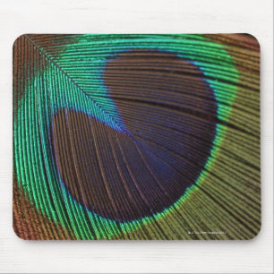 Tapis De Souris Plume de paon