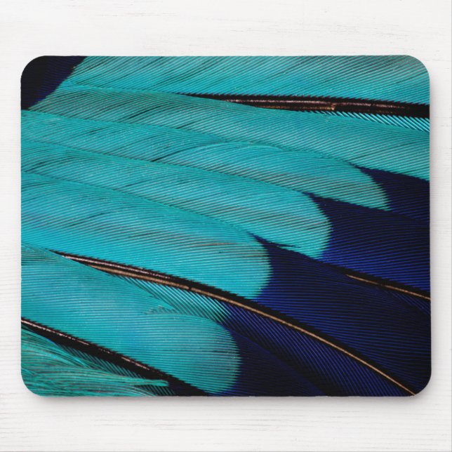 Tapis De Souris Plume de Rollier Indien Abstrait (Devant)