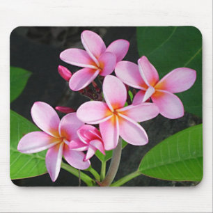Tapis De Souris Plumeria au club de yacht de fin amère de Gorda d