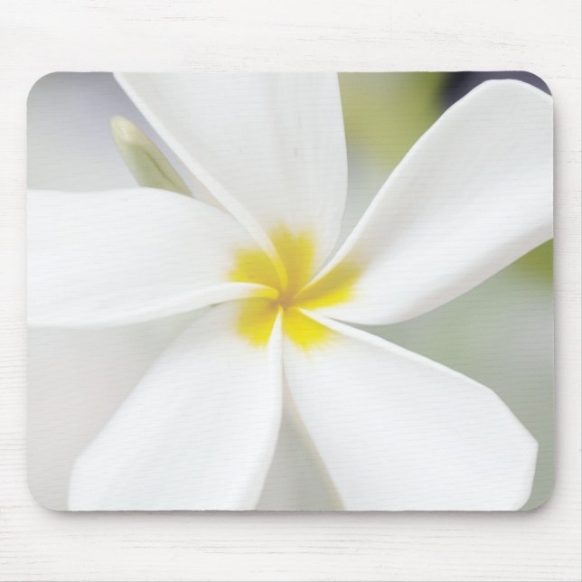 Tapis De Souris Plumeria blanche - Portrait macro (Devant)