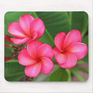 Tapis De Souris Plumeria - Miami s'est levé sur le mousepad