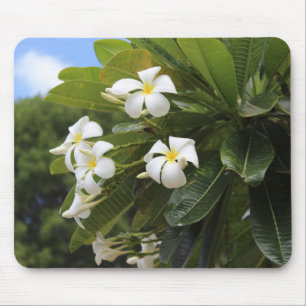 Tapis De Souris Plumeria Mousepad