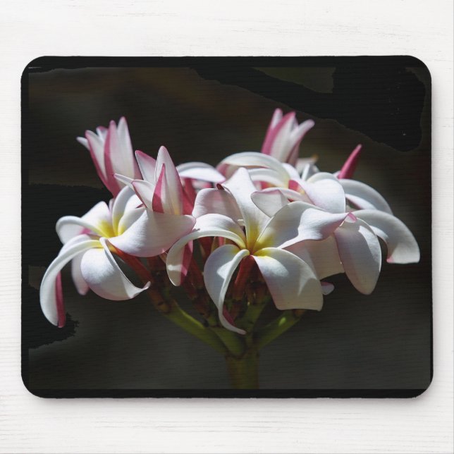 Tapis De Souris Plumeria Mousepad (Devant)