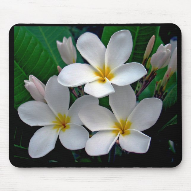 Tapis De Souris Plumeria Mousepad de clair de lune (Devant)