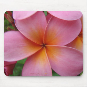 Tapis De Souris Plumeria rose Mousepad