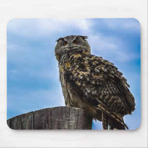 Tapis De Souris Plumes d'oiseau de hibou Animal Nature Destin Paix