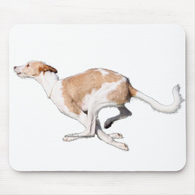Tapis De Souris podenco (Devant)