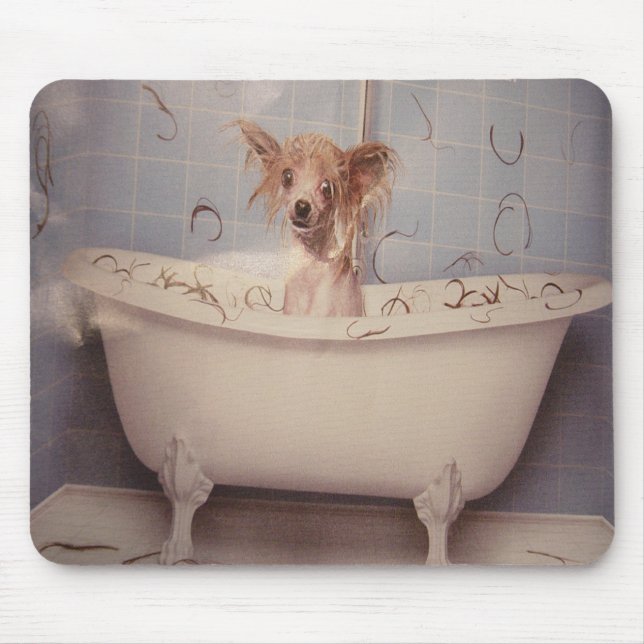 TAPIS DE SOURIS POIGNÉE DE BAIGNOIRE (Devant)