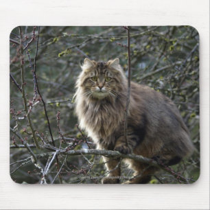 Tapis De Souris Poil long Tabby Chat Mousepad