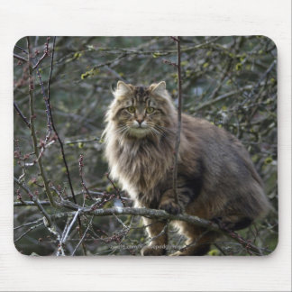 Tapis De Souris Poil long Tabby Chat Mousepad
